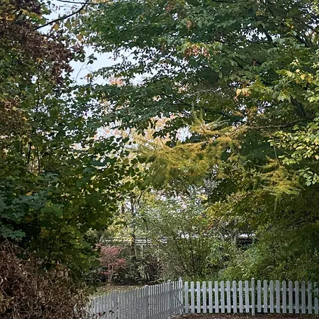 70s Wooden House Near Dalby Huse